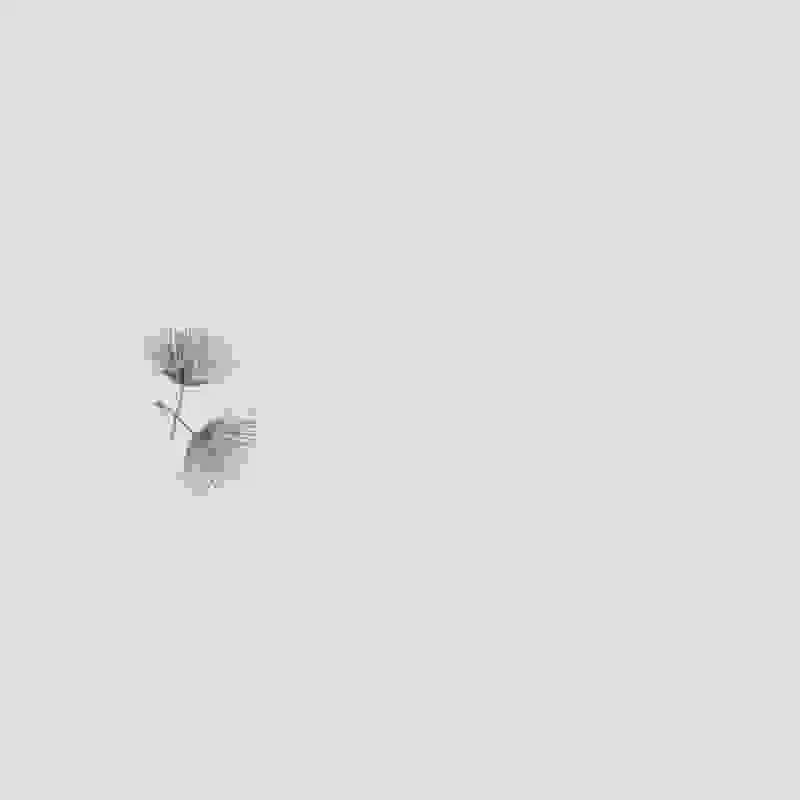 Ginko mintás függöny